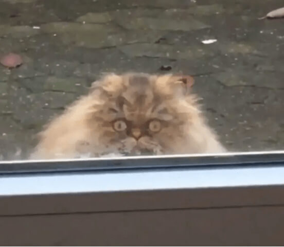 I’m Always Watching You