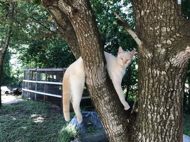 Yeah, Stand There And Watch Me Burn