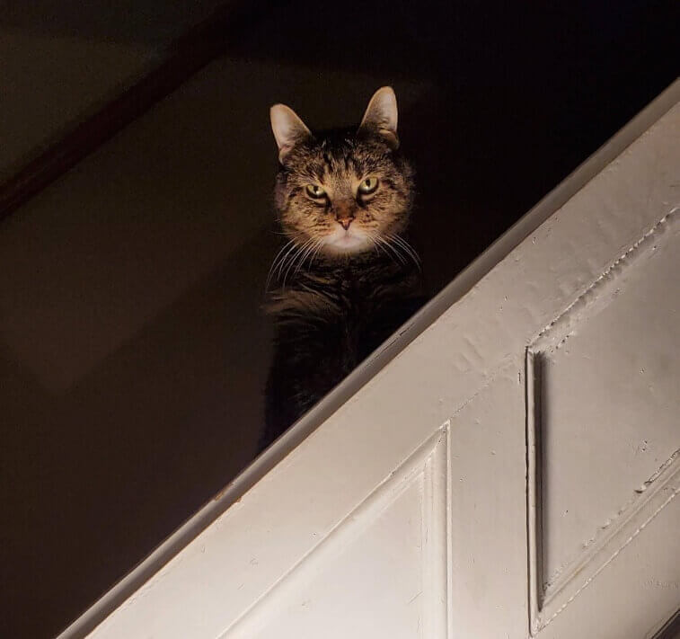 On That Day Humanity Had A Great Reminder