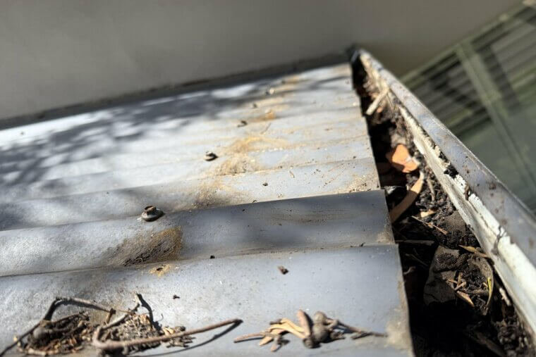 Clean Gutters