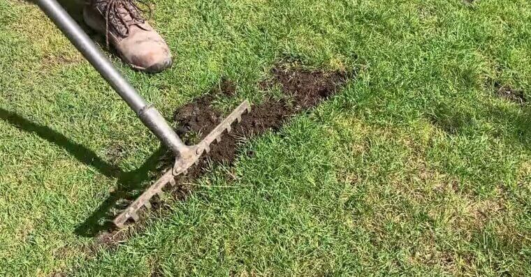 Check for Bare Patches