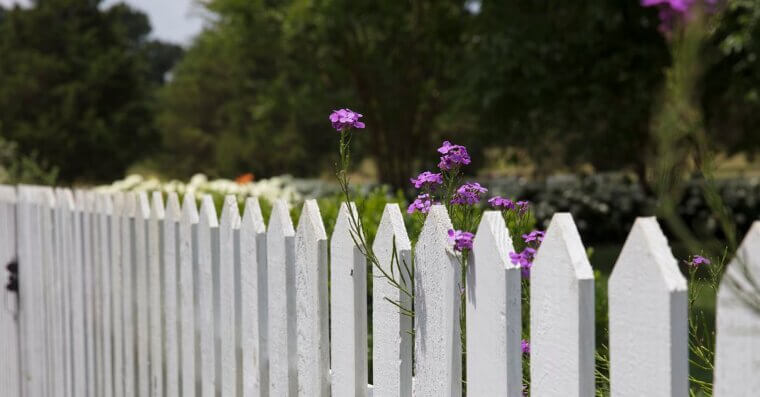 Check Fences and Gates