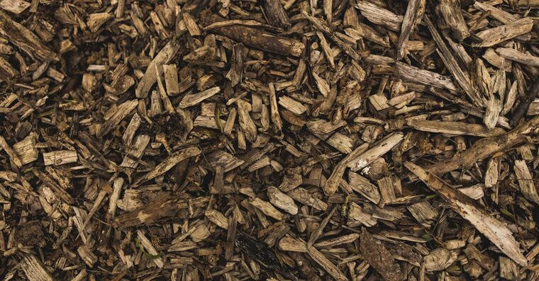 Spread Fall Mulch