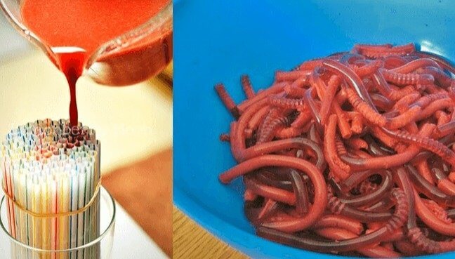 DIY Jell-O Worms