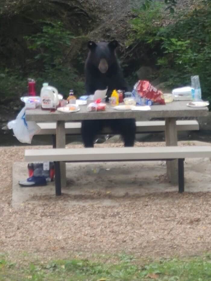 O que tem para o almoço?