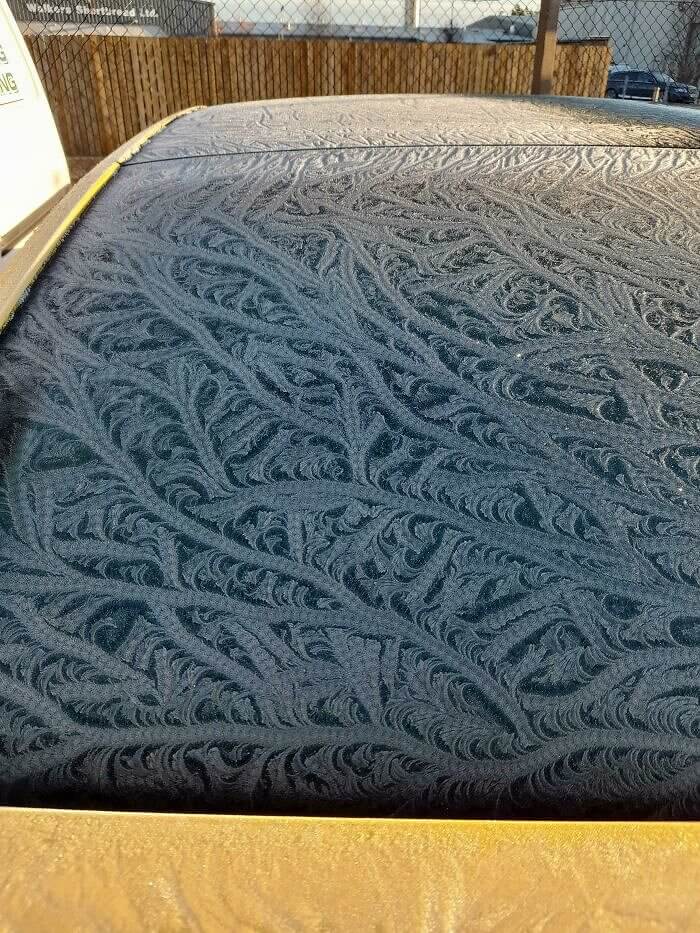 Padrão de gelo parecido com um tapete chique