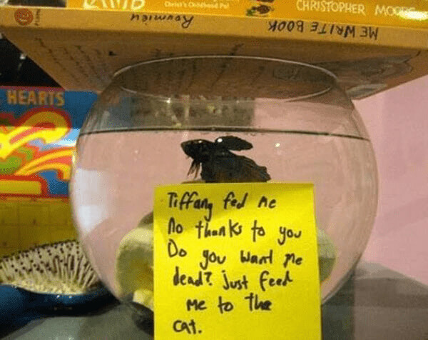 If A Fish Could Talk It Would Have A Lot To Say