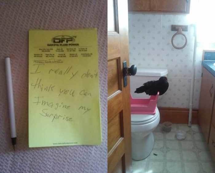 Beware Of What Is Hiding Behind The Bathroom Door