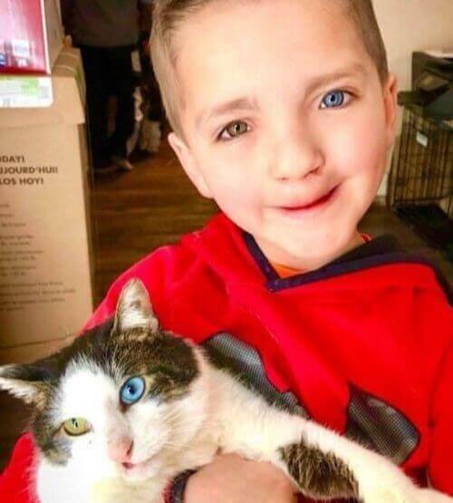 A Little Boy Who Met A Cat That Looked Like Him
