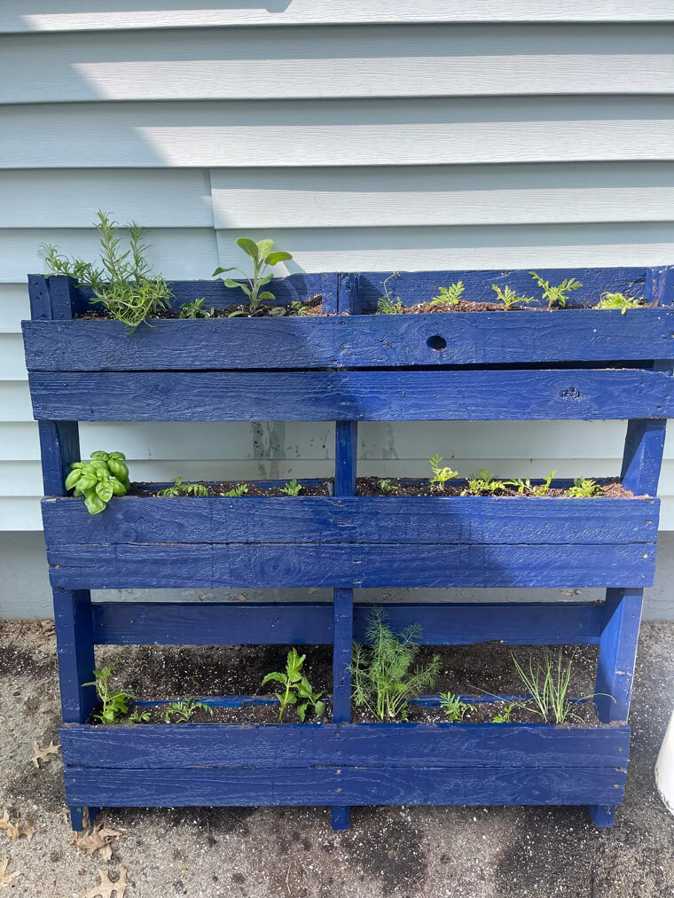 Pallet Planter