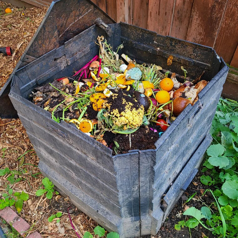 Save Kitchen Scraps For Garden Fertilizer