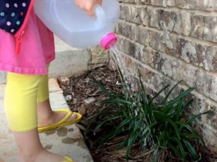 A Simple Watering Can For Home Gardening