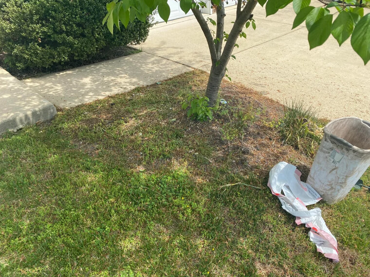 Use An Aluminum Can For Targeted Weed Spraying