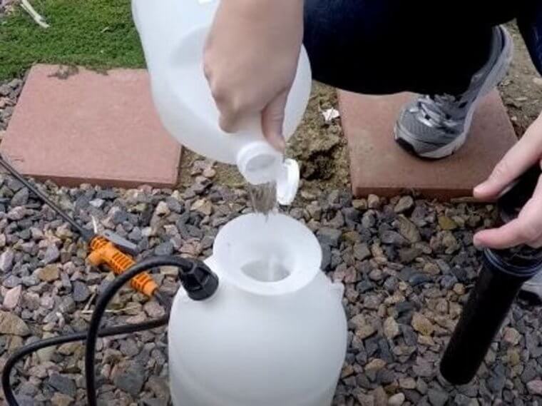 Make An Effective Weed Killer Without Harsh Chemicals