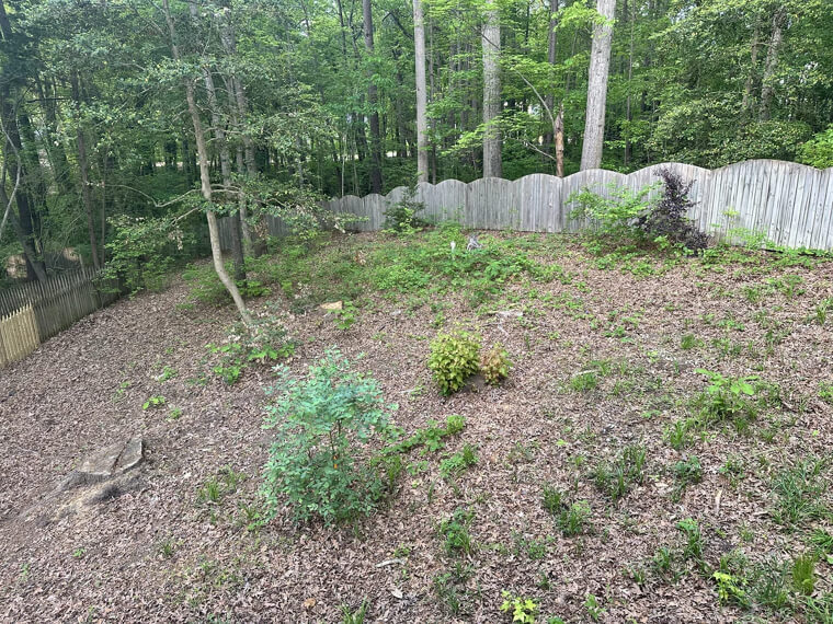 Clear Out the Undergrowth