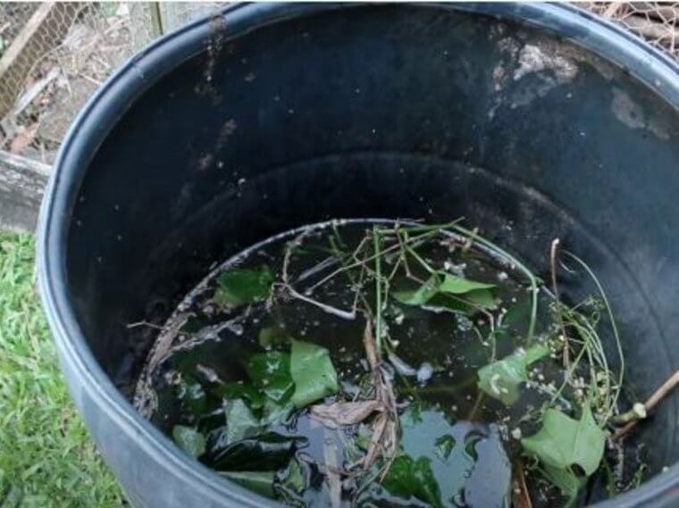 Don't Put Those Weed Nutrients To Waste