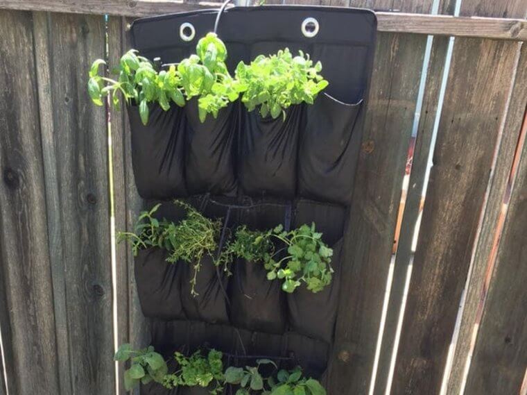 Create A Vertical Garden With A Shoe Organizers