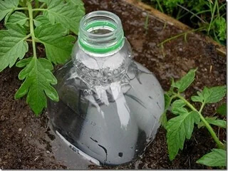 Bottle Drip Feeder