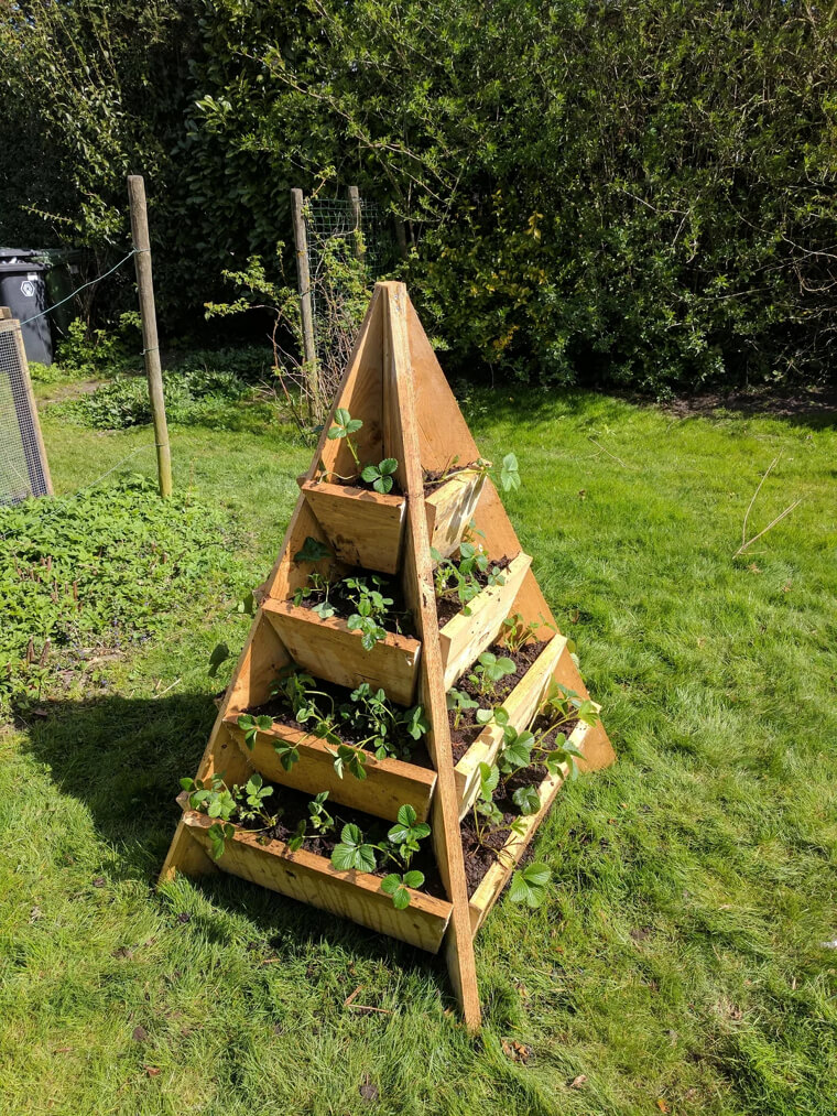 Strawberry Tower Forever