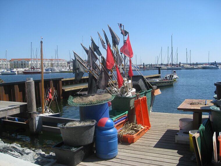 The Orvis Fly-Fishing Dynasty and the Secret of the "Unbreakable" Rod