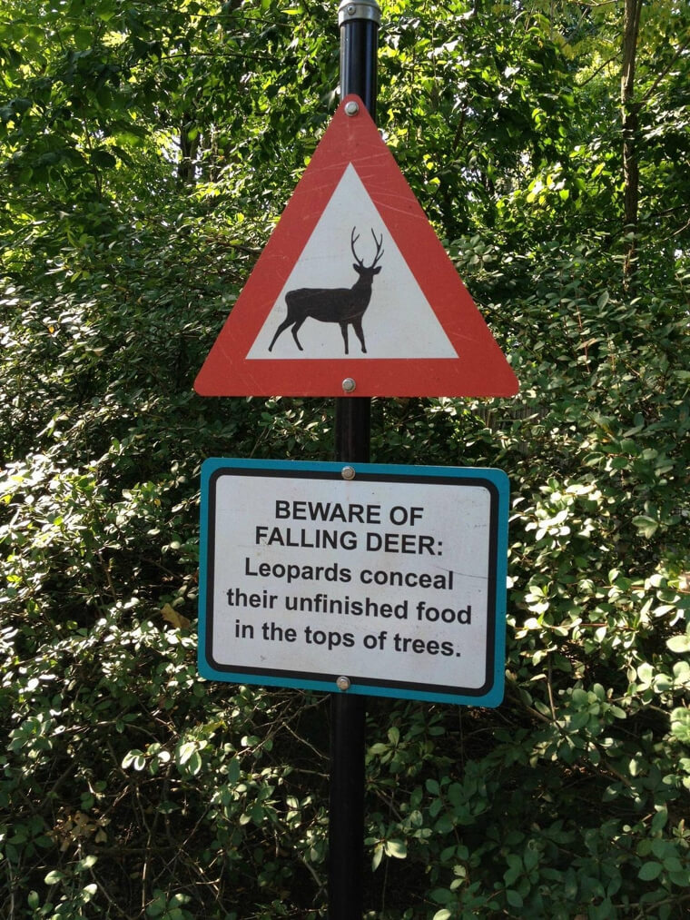 It Gets Scarier the More You Read