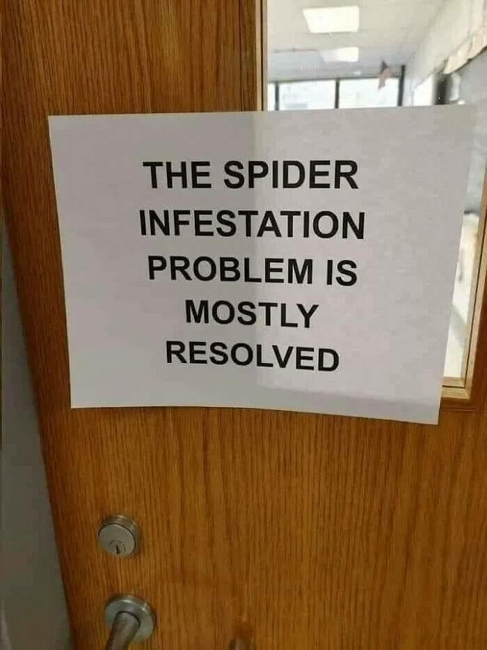 Mostly Resolved Spider Situation