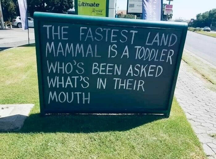 School Was Wrong: The Fastest Land Mammal Is Not the Cheetah