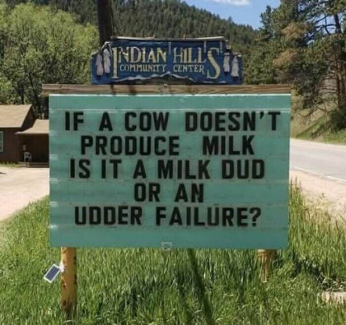Cow Conundrum Sign Has Us Laughing!