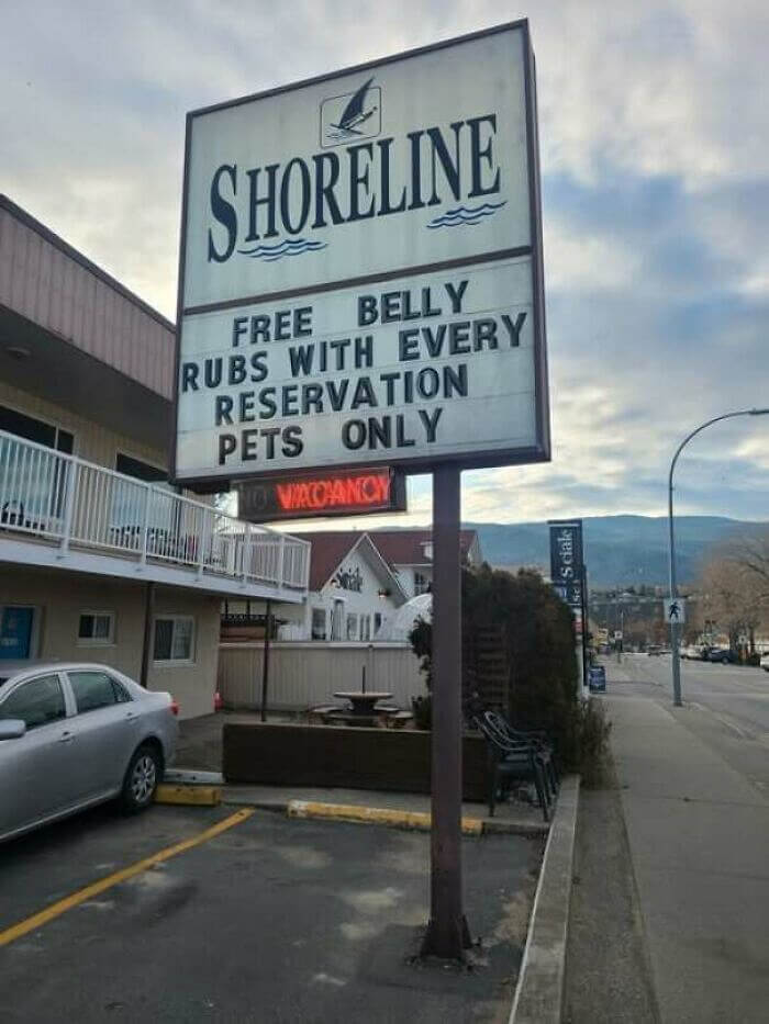 Pet-Friendly Perks at This Hotel!