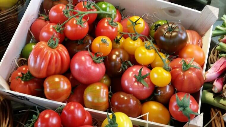 Storing Tomatoes in the Fridge