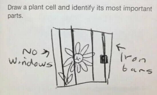 A Fresh Take on Biology