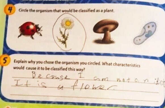 Just Using Common Sense