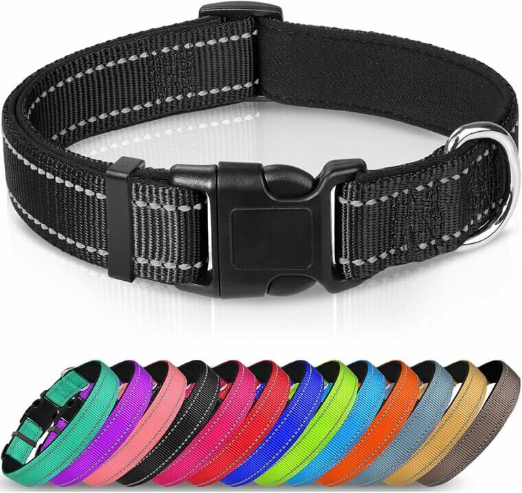 Enhance Your Walks with Joytale Dog Collar - Comfort & Safety Redefined 
