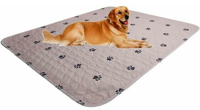 Save Money With This Reusable Pee Pad 