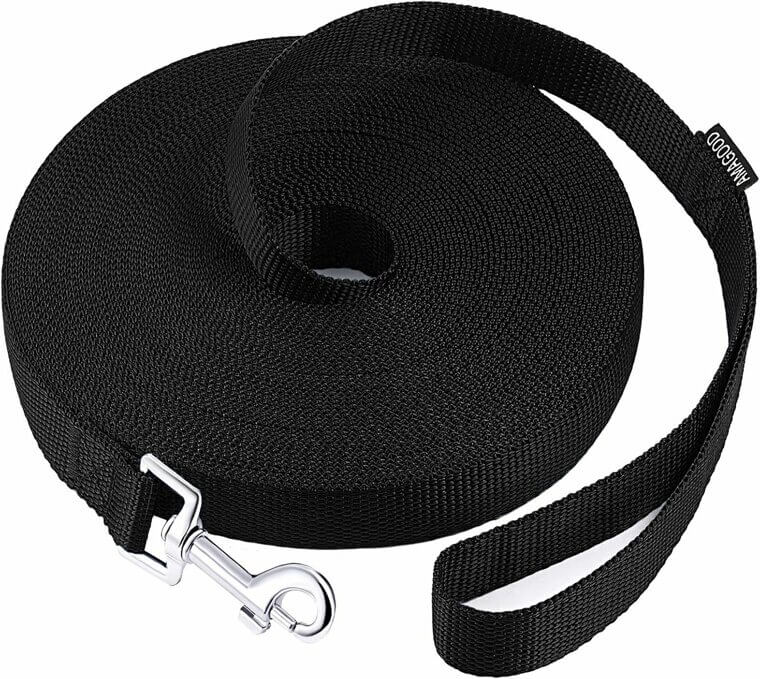 Enhance Training and Outdoor Fun With This Long Leash 