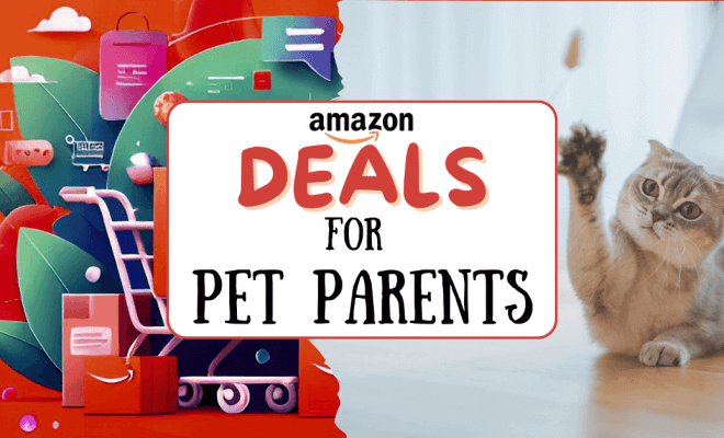 Best Amazon Deals For Pet Owners
