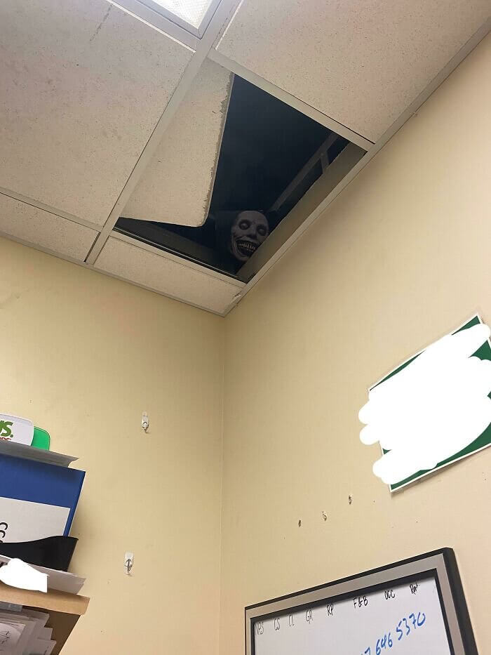 An Office Hide-And-Seek Champion
