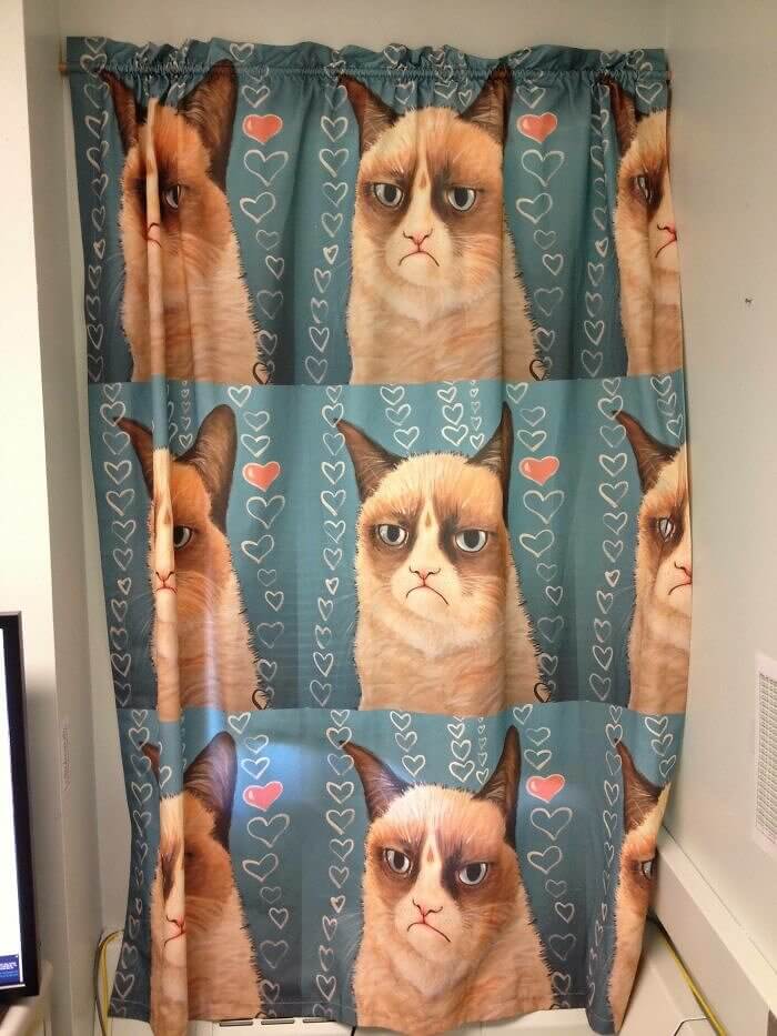 There's a Grumpy Cat Hanging in This Office