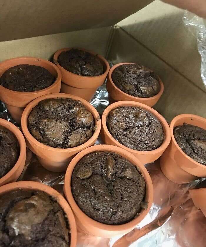 An Acceptable Kind of Workplace Brownies