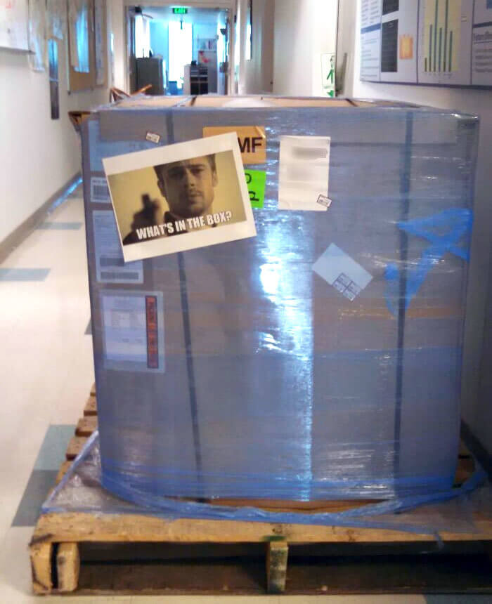 Office Mystery Box Turns Meme Sensation