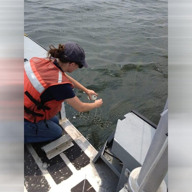 Ecosystem Canaries Can Warn Scientists About an Ecosystem's Collapse