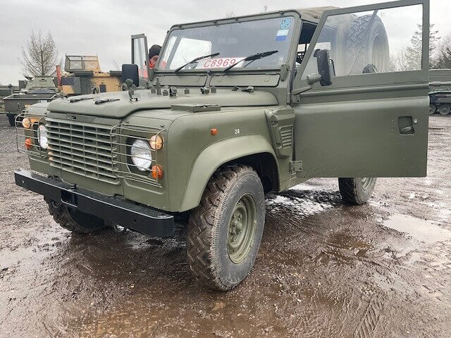 Wolf Special Piggie Model 145377