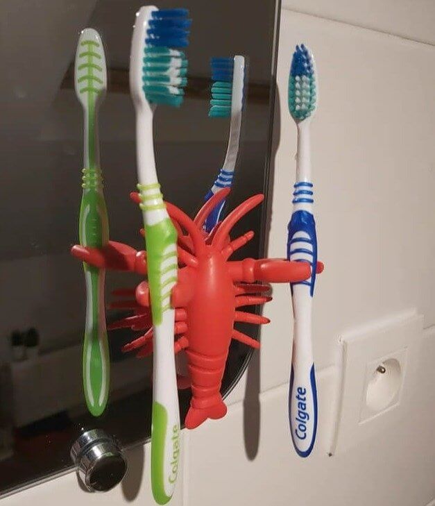 Storing Toothbrushes Near Toilets