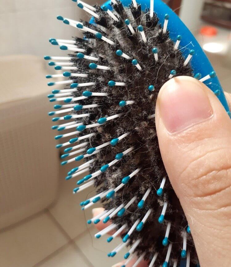 Not Cleaning Your Hairbrush