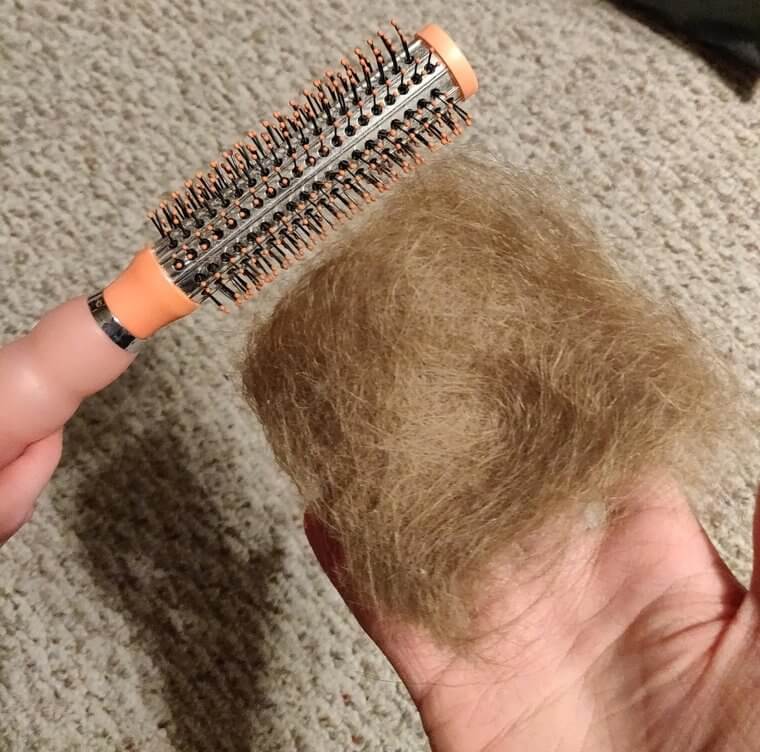 Clean Your Hairbrushes, They Hold More Dirt Than You Could Imagine