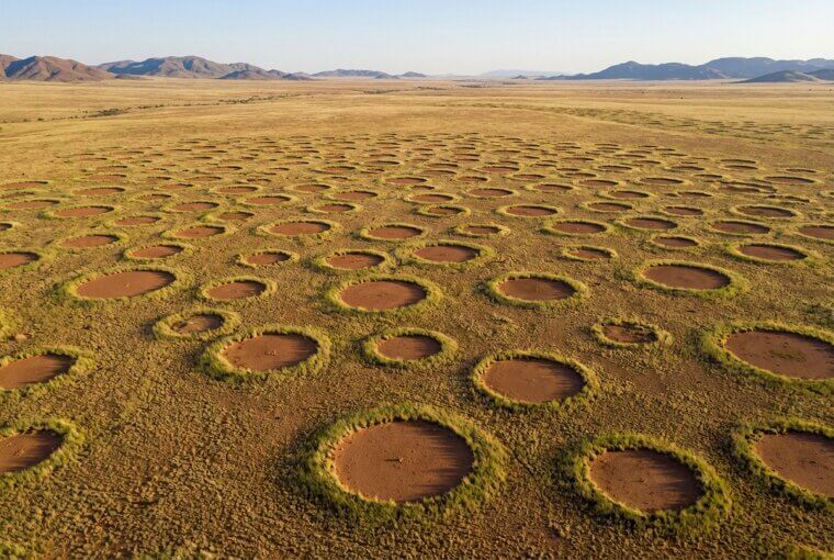 Forests With Perfect Mysterious Circles