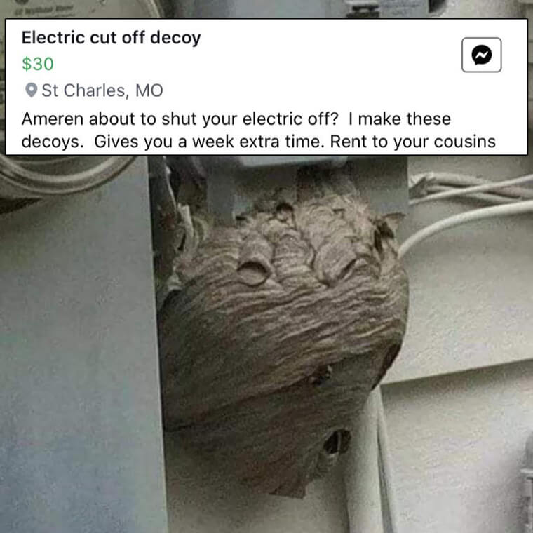 Electric Cutoff Decoy - Just $30 and What's Left of Your Dignity