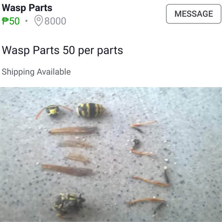 Various Wasp Parts, for All Your Wasp Parts Needs