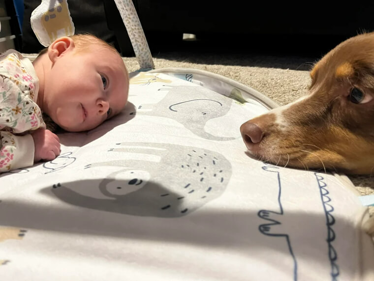 Mintió sobre la alergia al perro de su hija