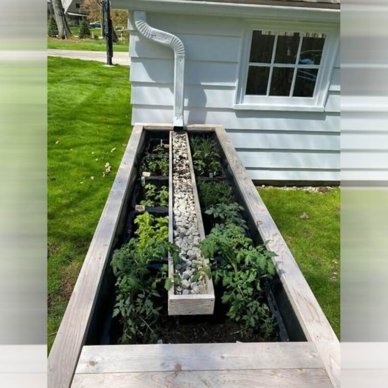 A Fool-Proof Way To Water Your Plants